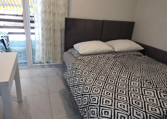 ホームステイ Bialy Przy Plazy *